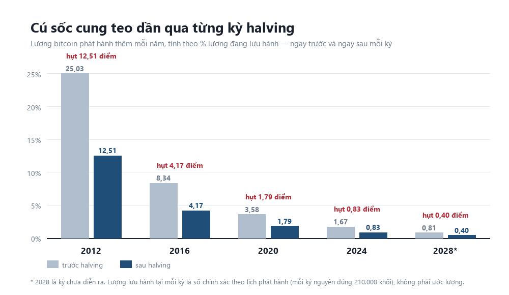Biểu đồ cột: lượng bitcoin phát hành thêm mỗi năm tính theo phần trăm lượng đang lưu hành, ngay trước và ngay sau năm kỳ halving 2012, 2016, 2020, 2024 và 2028. Mức hụt giảm dần từ 12,51 điểm phần trăm xuống 0,40 điểm.
